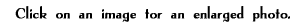 Click on an image for an enlarged photo.