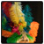 Dance Image 8